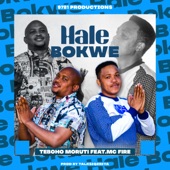 Hale Bokwe (feat. MC FIRE) artwork