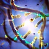 Genetic Karma
