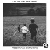 Freedom (Mass Digital Remix) [feat. Jodie Knight] - Single