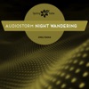 Night Wandering - Single