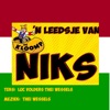 'N Leedsje Van Niks - Single