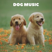 Music For Puppies artwork