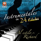 Instrumentales De 24 Kilates Al Estilo Richard artwork