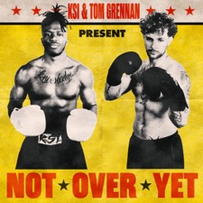 Not Over Yet (feat. Tom Grennan) by 