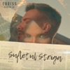 Sufletul Striga (feat. Denisa Jo) - Single