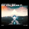 Do You Mean It - Single