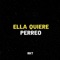 Ella Quiere Perreo Rkt (feat. NAHU IN THE MIX) - BR4IAN DJ lyrics