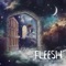 Blood on the Street - Fleesh lyrics