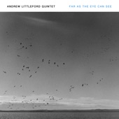 Andrew Littleford Quintet - Big Bluestem