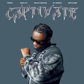 Captivate (feat. Mega Ej, Skillz 8Figure & DJ NEIZER) artwork