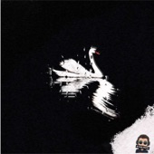 Swan Lake (Black Swan) [Epic Trap Version] artwork