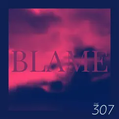 Blame - Single by The 307 album reviews, ratings, credits