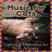Music For Cats: Calming Melodies for Anti Anxiety artwork