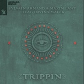 Trippin (feat. Davina Malek) artwork