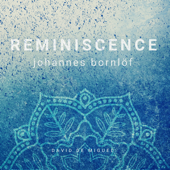 Reminiscence (Theme by Johannes Bornlöf) - David de Miguel