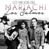 Lo Mejor Del Mariachi Los Salmos