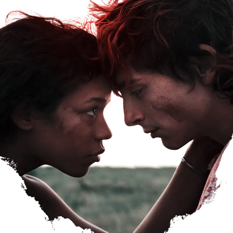 Trent Reznor & Atticus Ross - 骨及所有 Bones and All (Original Score) (2022) [iTunes Plus AAC M4A]-新房子