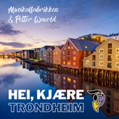 Hei kjære Trondheim (feat. Petter Wavold) artwork