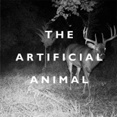 The Artificial Animal artwork