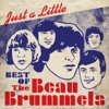 Just a Little - Best of the Beau Brummels
