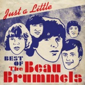 The Beau Brummels - You Tell Me Why
