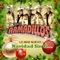 Navidad Sin Ti... - Dueto Los Armadillos lyrics