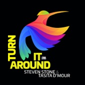 Turn It Around (Extended Mix) artwork