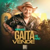 Minhas Gaita Cê Não Vende - Single
