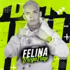 Felina - Single album lyrics, reviews, download