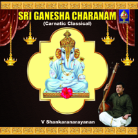 V Shankaranarayanan - Sri Ganesha Charanam (Carnatic Classical) artwork
