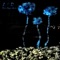 A.S.D - Christopher Ake lyrics