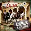 Corridos de Alto Calibre album lyrics, reviews, download