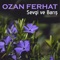 Sivas - Ozan Ferhat lyrics