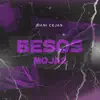 Besos Moja2 - Single album lyrics, reviews, download