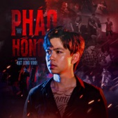 Pháo Hồng (Remix) artwork