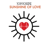 Sunshine of Love (Extended Mix) artwork
