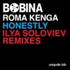 Honestly (Ilya Soloviev Remixes) - Single