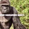 Harambe West Macintosh Minus Visa Jazz