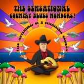 The Sensational Country Blues Wonders! - Music of the Spheres
