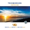 Trio Morgen - Morgen!, Op. 27, No. 4