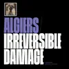 Stream & download Irreversible Damage (feat. Zack de la Rocha) - Single