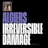 Algiers - Irreversible Damage (feat. Zack de la Rocha) [Edit]