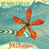 Pollination - EP