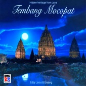 Tembang Mocopat (feat. Endang) artwork