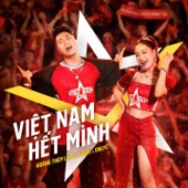 Việt Nam Hết Mình artwork