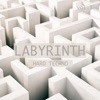 Labyrinth Hard Techno, Vol. 1