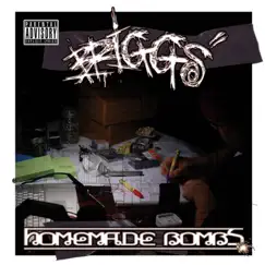 Homemade Bombs - EP by Briggs album reviews, ratings, credits