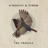 O'Hooley & Tidow - The Fragile artwork