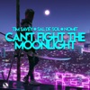 Can't Fight The Moonlight - Single