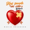 Has Sanado Mi Vida (Bachata) - Single